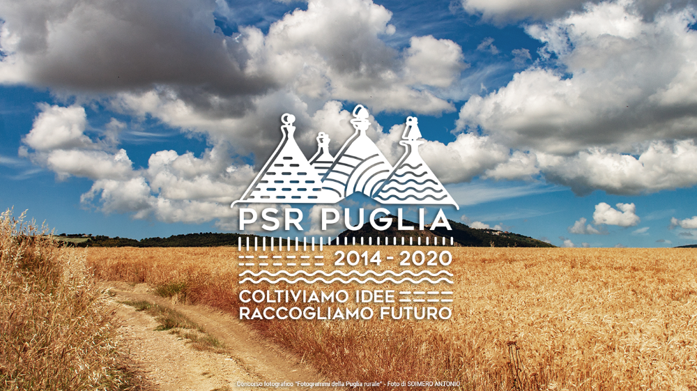 Foto Giuseppe Valvano - Concorso fotografico Fotogrammi della Puglia rurale
